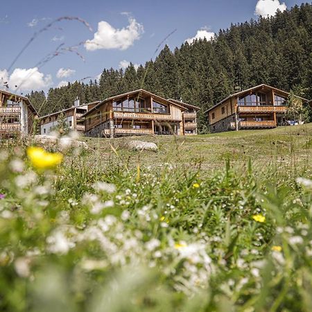 Priva Alpine Lodge Ленцергайде Екстер'єр фото